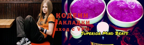 индика Гусев