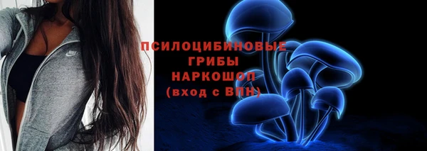 ГАЛЛЮЦИНОГЕННЫЕ ГРИБЫ Гусиноозёрск