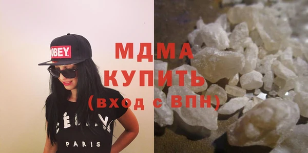 индика Гусев