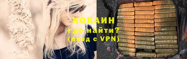 индика Гусев