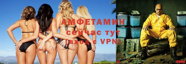 индика Гусев