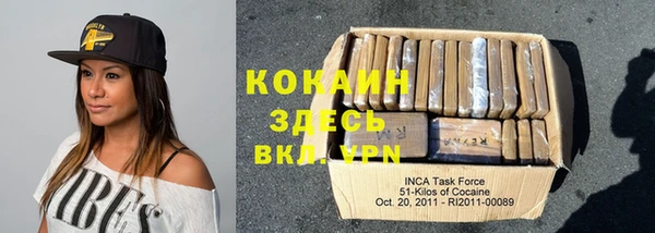 индика Гусев